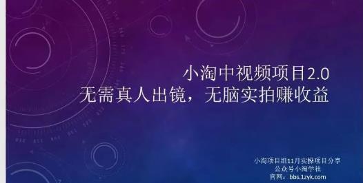 小淘项目组网赚永久会员,绝对是具有实操价值的,适合有项目做需要流程【持续更新】