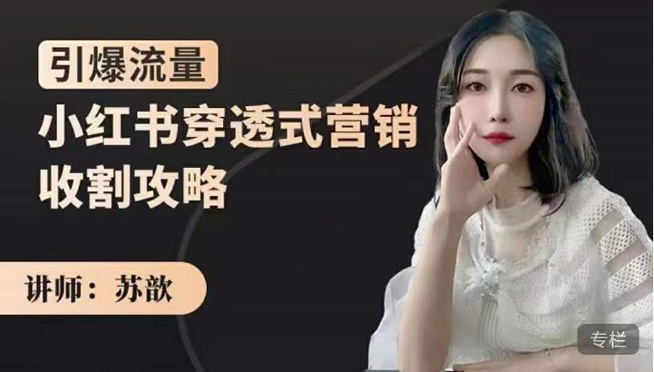 苏歆:小红书穿透式营销收割攻略,引爆流量,助你玩转小红书