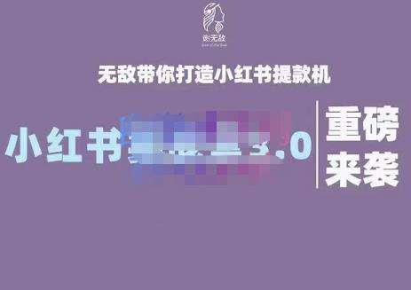 谢无敌·小红书实战营3.0,无敌带你打造小红书提款机 价值7999元