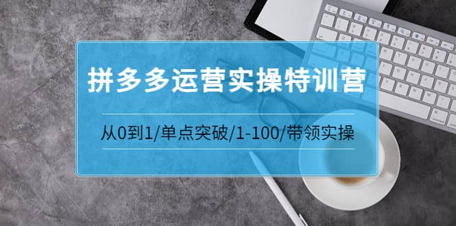 拼多多运营实操特训营:从0到1/单点突破/1-100/带领实操 价值2980元,源码仅供个人学习研究,不可商用