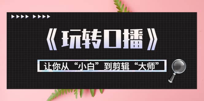 月营业额700万+大佬教您《玩转口播》让你从“小白”到剪辑“大师”，源码仅供个人学习研究，不可商用