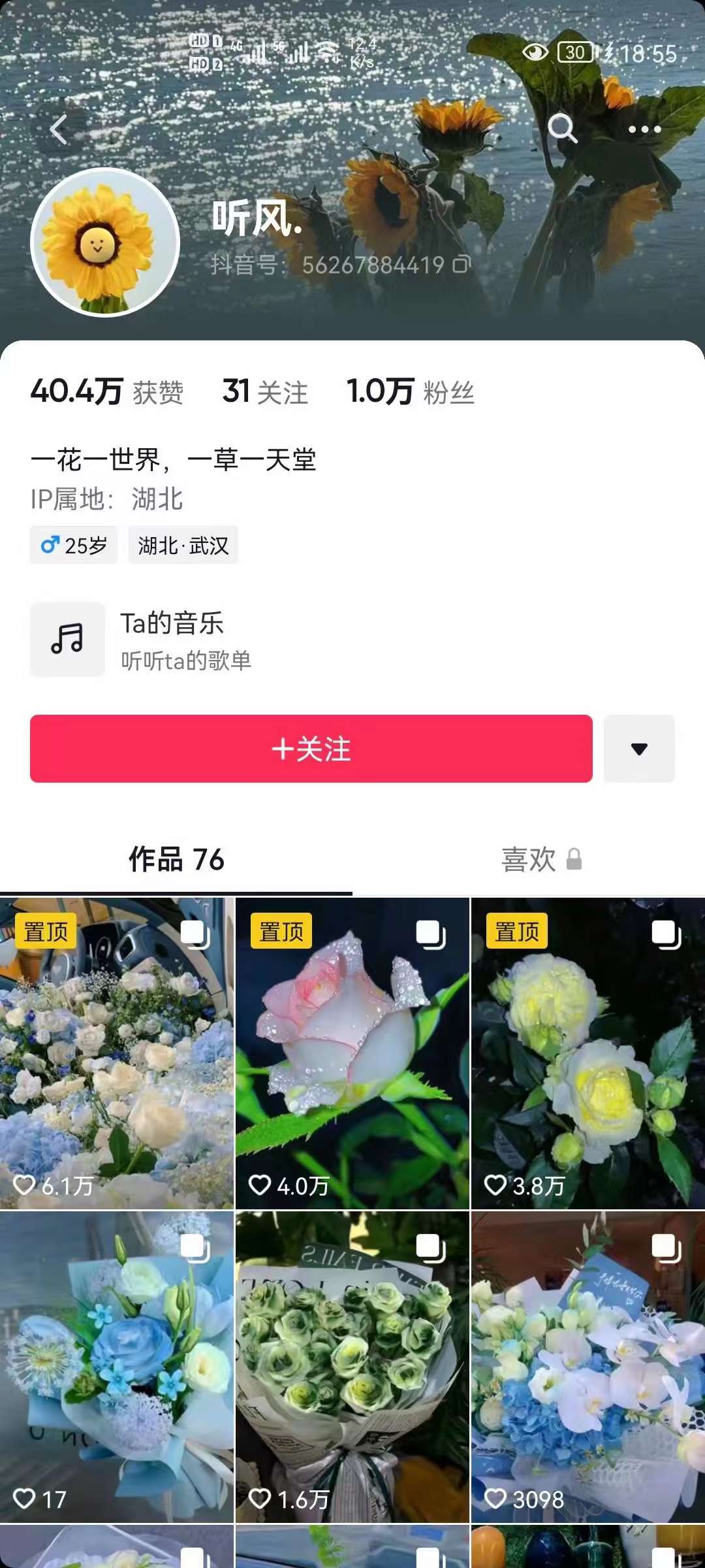 抖音壁纸变现项目：实战日入380+发布壁纸素材获取收益！，源码仅供个人学习研究，不可商用