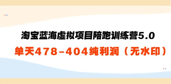 淘宝蓝海虚拟项目陪跑训练营5.0:单天478纯利润(无水印),源码仅供个人学习研究,不可商用