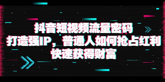 抖音短视频流量密码:打造强IP,普通人如何抢占红利,快速获得财富,源码仅供个人学习研究,不可商用