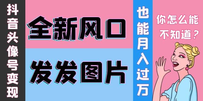 抖音头像号变现0基础教程,源码仅供个人学习研究,不可商用