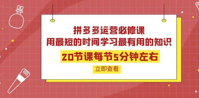 拼多多运营必修课：20节课每节5分钟左右，用最短的时间学习最有用的知识，源码仅供个人学习研究，不可商用