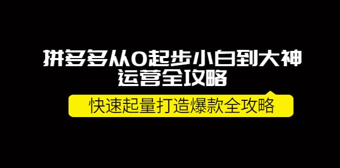 拼多多从0起步小白到大神运营全攻略，源码仅供个人学习研究，不可商用