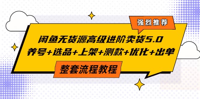 闲鱼无货源高级进阶卖货5.0，养号+选品+上架+测款+优化+出单整套流程教程，源码仅供个人学习研究，不可商用
