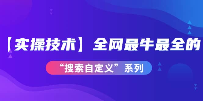 【实操技术】全网最牛最全的“搜索自定义”系列!价值698元,源码仅供个人学习研究,不可商用