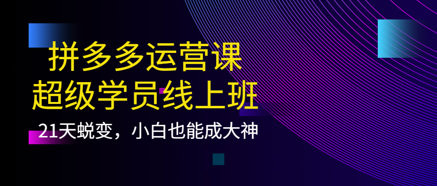 拼多多运营课：超级学员线上班，21天蜕变，小白也能成大神，源码仅供个人学习研究，不可商用