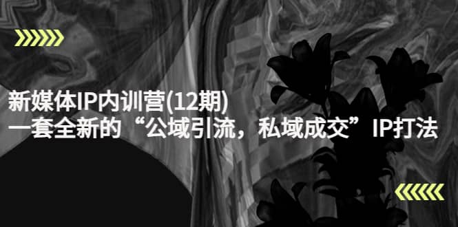 新媒体IP内训营(12期),一套全新的“公域引流,私域成交”IP打法,直接带走,源码仅供个人学习研究,不可商用