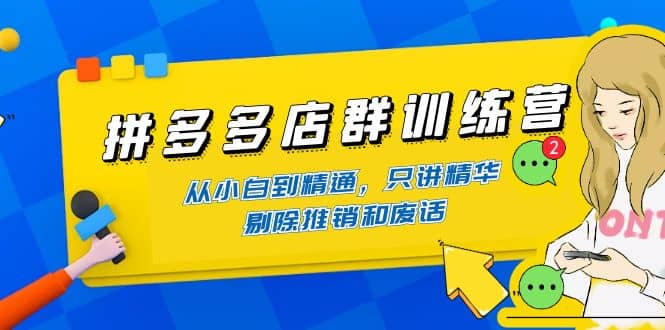 拼多多店群训练营：从小白到精通，只讲精华，剔除推销和废话，源码仅供个人学习研究，不可商用