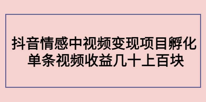 抖音情感中视频变现项目孵化,源码仅供个人学习研究,不可商用