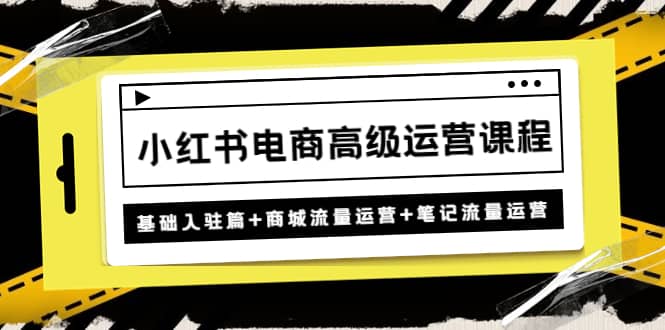 小红书电商高级运营课程:基础入驻篇+商城流量运营+笔记流量运营,源码仅供个人学习研究,不可商用