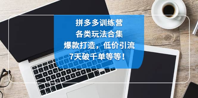 拼多多训练营:各玩法合集,爆款打造,低价引流,7天破千单等等,源码仅供个人学习研究,不可商用