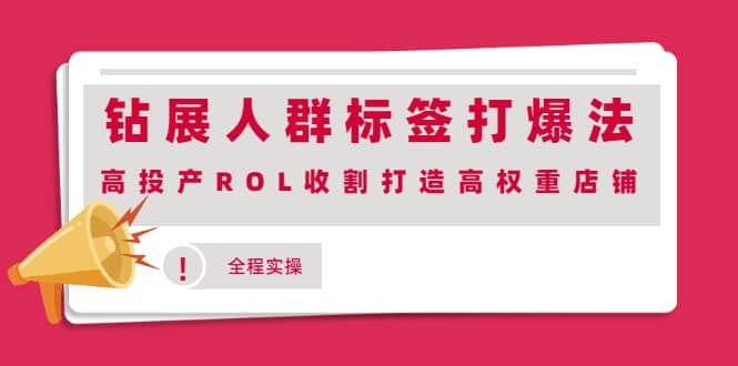 钻展人群标签打爆法,高投产ROL收割打造高权重店铺(全程实操),源码仅供个人学习研究,不可商用
