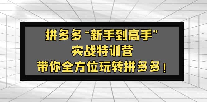 拼多多“新手到高手”实战特训营:带你全方位玩转拼多多,源码仅供个人学习研究,不可商用
