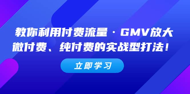 教你利用付费流量·GMV放大,微付费、纯付费的实战型打法,源码仅供个人学习研究,不可商用