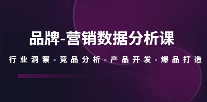 品牌-营销数据分析课,行业洞察-竞品分析-产品开发-爆品打造,源码仅供个人学习研究,不可商用