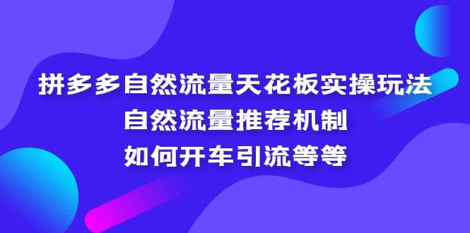 拼多多自然流量天花板实操玩法:自然流量推荐机制,如何开车引流等等,源码仅供个人学习研究,不可商用