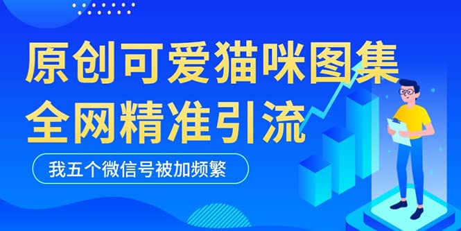 黑科技纯原创可爱猫咪图片，全网精准引流，实操5个VX号被加频繁，源码仅供个人学习研究，不可商用