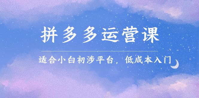 拼多多运营课,适合小白初涉平台,低成本入门,源码仅供个人学习研究,不可商用