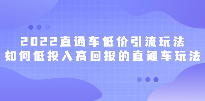 2022直通车低价引流玩法,教大家如何低投入高回报的直通车玩法,源码仅供个人学习研究,不可商用