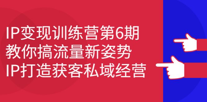 IP变现训练营第6期:教你搞流量新姿势,IP打造获客私域经营,源码仅供个人学习研究,不可商用