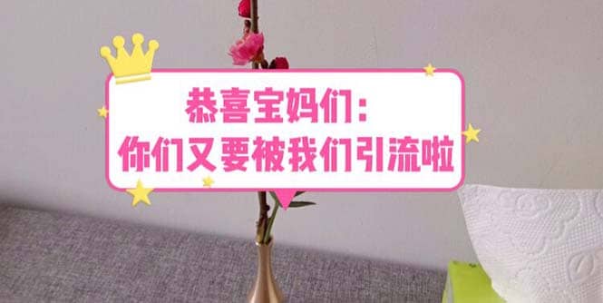 恭喜宝妈们:你们又要被我们引流了(教程+222g资料),源码仅供个人学习研究,不可商用