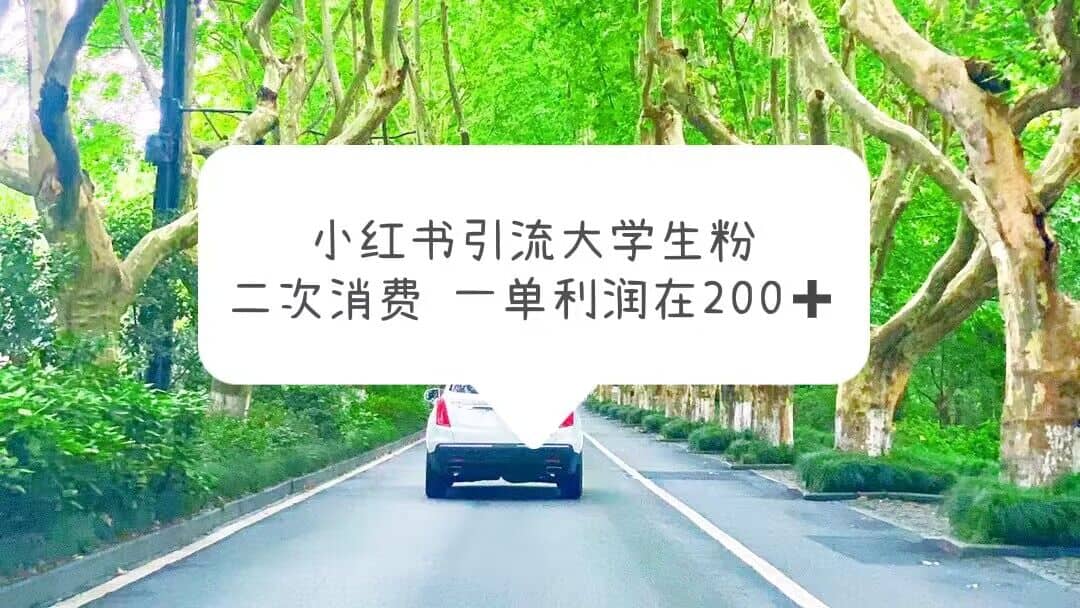 小红书引流大学生粉,变现项目,一单利润在200+(教程+资源),源码仅供个人学习研究,不可商用
