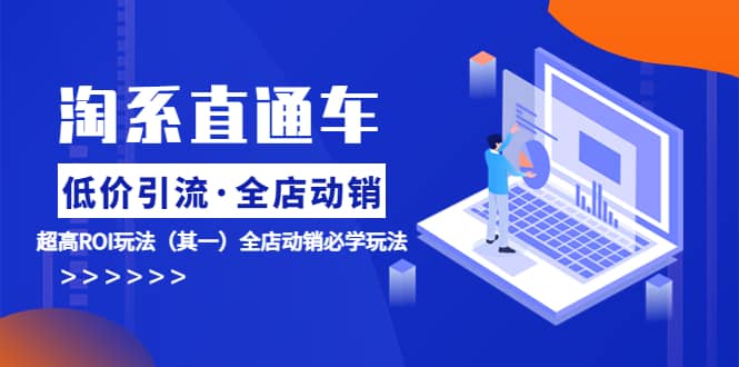 淘系直通车《低价·引流 全店·动销》超高ROI玩法(其一)全店动销必学玩法,源码仅供个人学习研究,不可商用