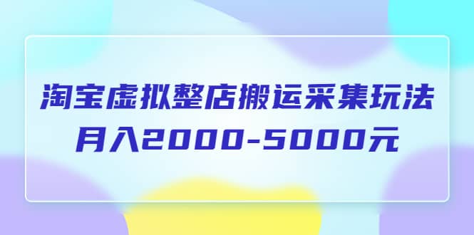 淘宝虚拟整店搬运采集玩法分享课:月入2000-5000元(5节课),源码仅供个人学习研究,不可商用