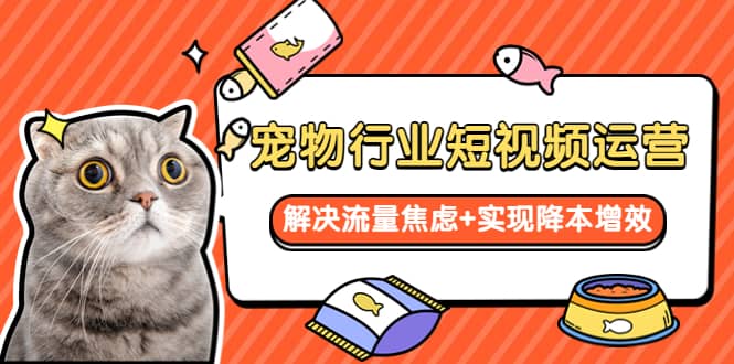 宠物/行业短视频运营 流量增长的一层窗户纸 解决流量焦虑+实现降本增效,源码仅供个人学习研究,不可商用