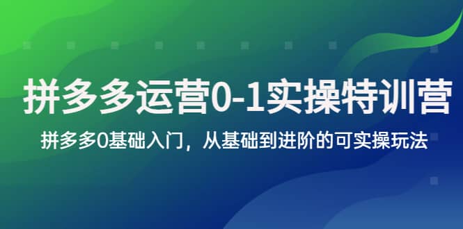 拼多多-运营0-1实操训练营,拼多多0基础入门,从基础到进阶的可实操玩法,源码仅供个人学习研究,不可商用