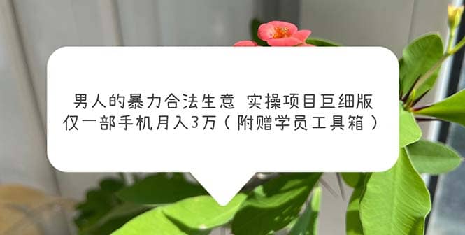 男人的暴力合法生意实操项目巨细版(附赠学员工具箱),源码仅供个人学习研究,不可商用