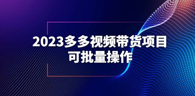 2023多多视频带货项目,可批量操作【保姆级教学】,源码仅供个人学习研究,不可商用