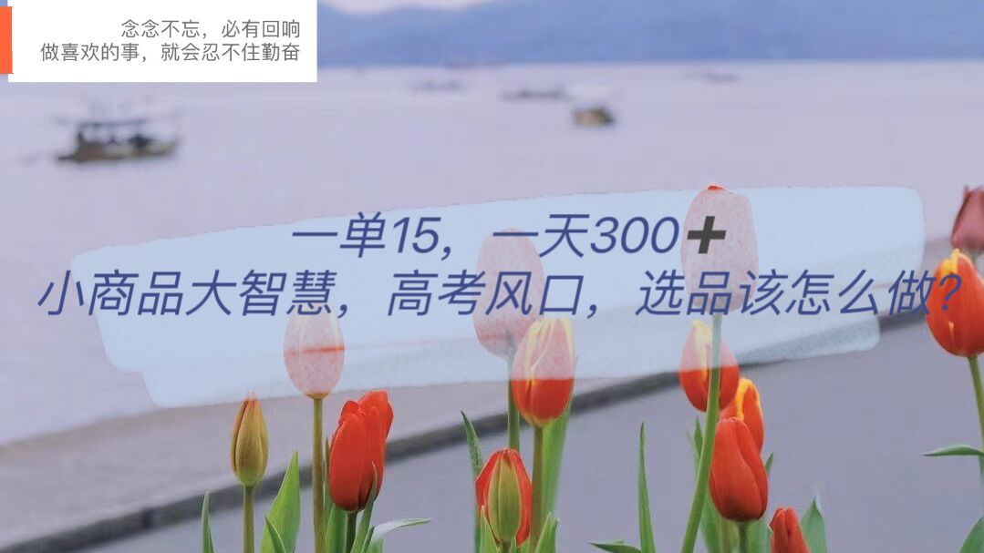 一单15,一天300+,小商品大智慧,高考风口,选品该怎么布局,源码仅供个人学习研究,不可商用