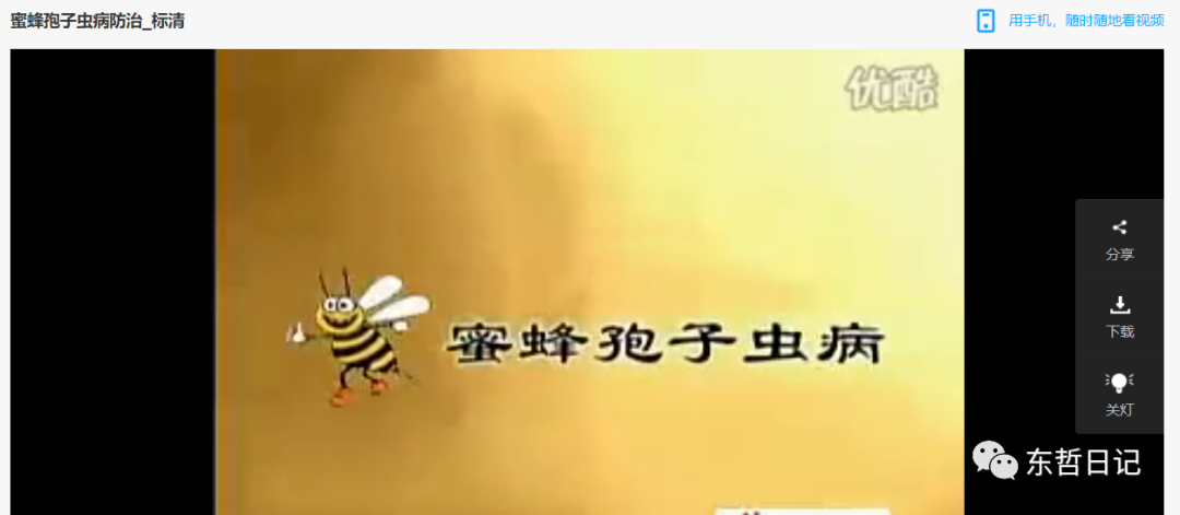 东哲日记：全网首创实物虚拟电商项目，速来捡钱，成本低，一单赚几十块！，源码仅供个人学习研究，不可商用