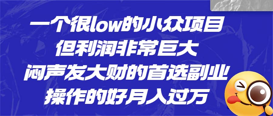 一个很low的小众项目,但利润非常巨大,闷声发大财的首选副业,源码仅供个人学习研究,不可商用