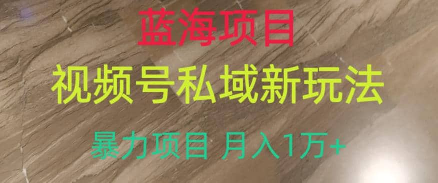 蓝海项目,视频号私域新玩法【揭秘】,源码仅供个人学习研究,不可商用