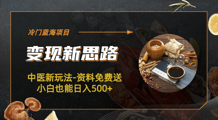 冷门蓝海项目-中医新玩法-资料免费送,源码仅供个人学习研究,不可商用