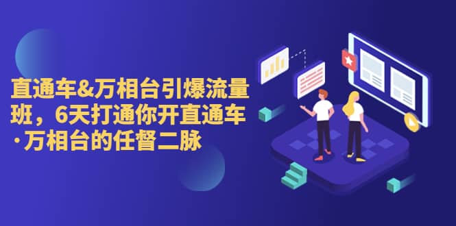 直通车+万相台引爆流量班,6天打通你开直通车·万相台的任督 二脉,源码仅供个人学习研究,不可商用