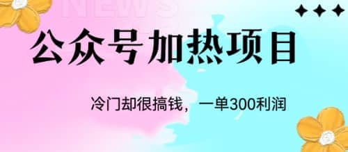 冷门公众号加热项目,一单利润300+,源码仅供个人学习研究,不可商用