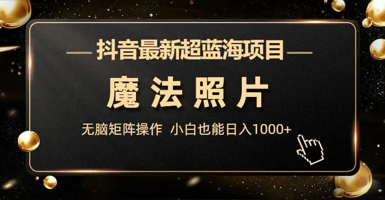 抖音最新超蓝海项目,魔法照片,无脑矩阵操作,源码仅供个人学习研究,不可商用