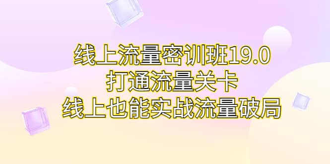 线上流量密训班19.0,打通流量关卡,线上也能实战流量破局,源码仅供个人学习研究,不可商用