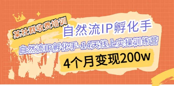 某社群收费培训:自然流IP 孵化手-14天线上实操训练营 4个月变现200w,源码仅供个人学习研究,不可商用