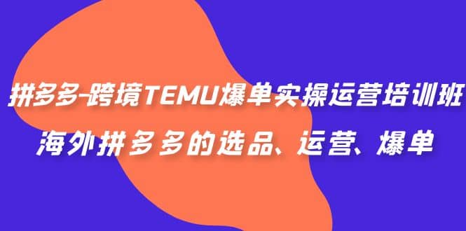 拼多多-跨境TEMU爆单实操运营培训班,海外拼多多的选品、运营、爆单,源码仅供个人学习研究,不可商用