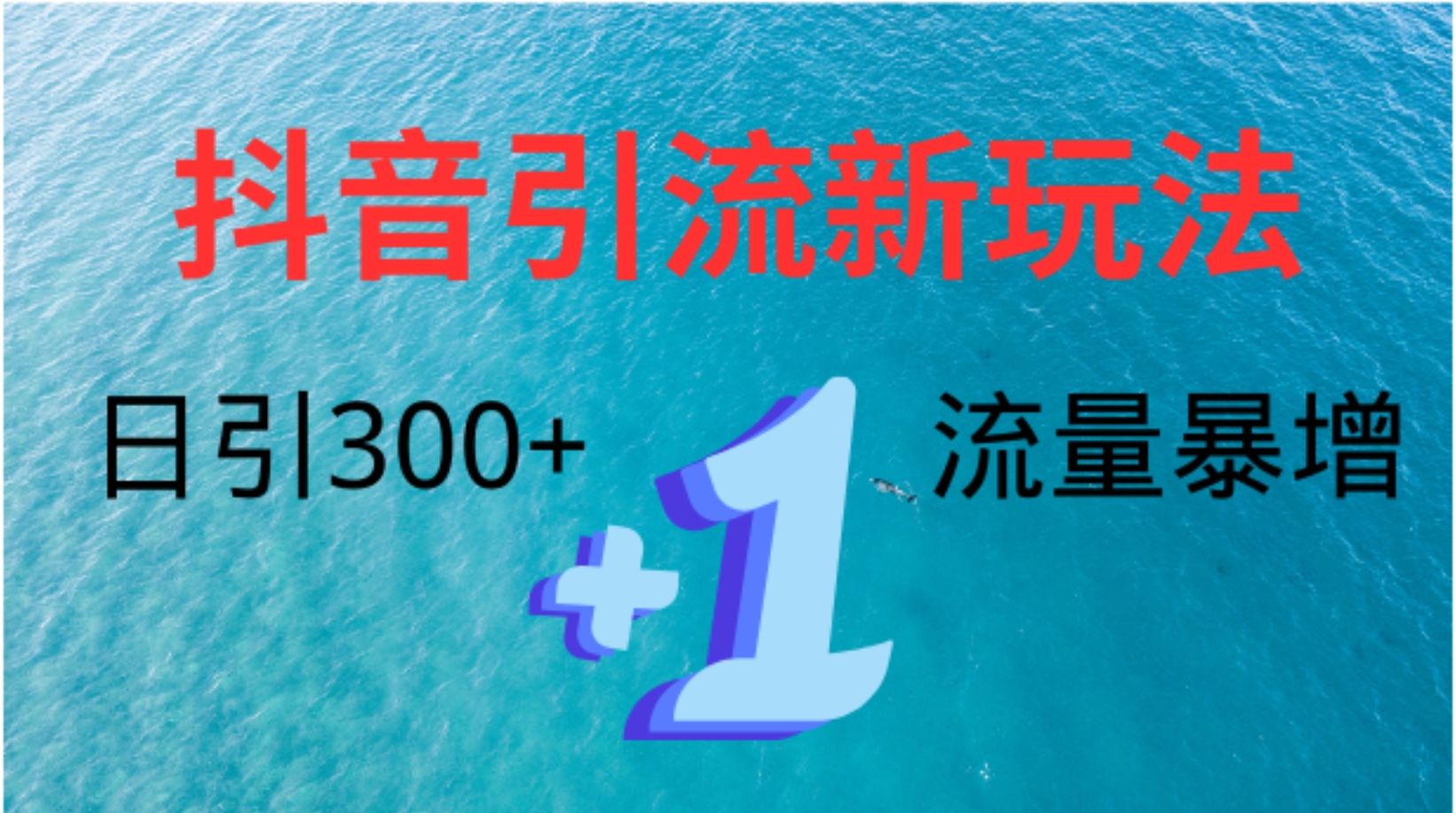 创业粉高效引流,抖音工具号玩法4.0,日引300+,源码仅供个人学习研究,不可商用