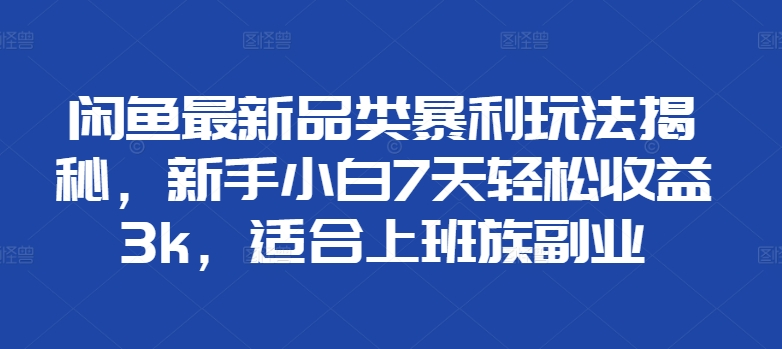 闲鱼最新品类玩法揭秘,适合上班族副业,源码仅供个人学习研究,不可商用