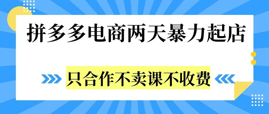 拼多多两天暴L起店,只合作不卖课不收费,源码仅供个人学习研究,不可商用